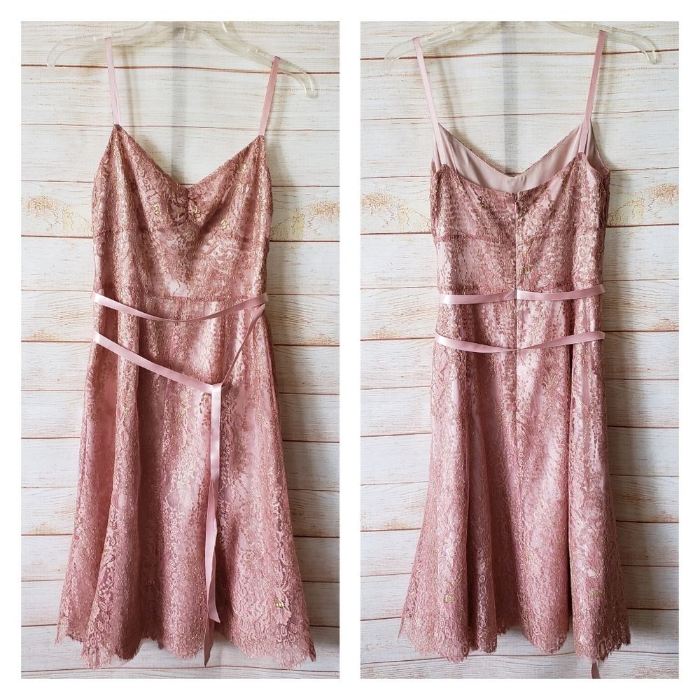 Ann Taylor Lace Metallic Ribbon Strap Dress Eyelash Lace Hem Size 6 Blush Pink